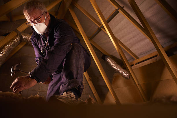 Best Insulation Maintenance and Repair in Ripon, CA